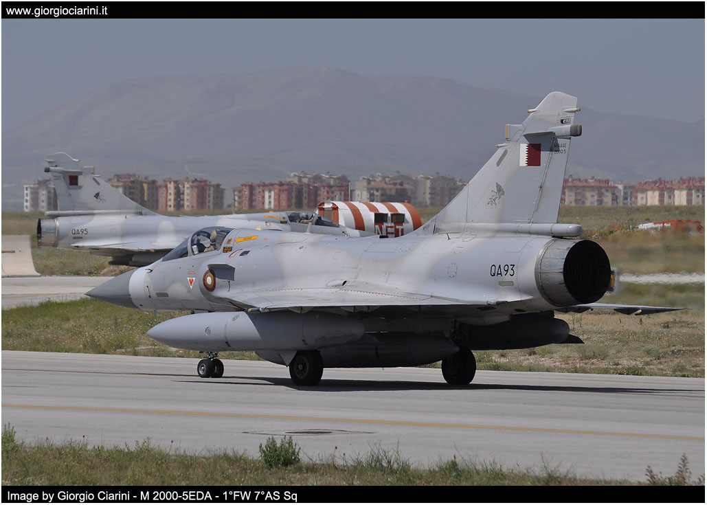 anatolian eagle 2014 image 120