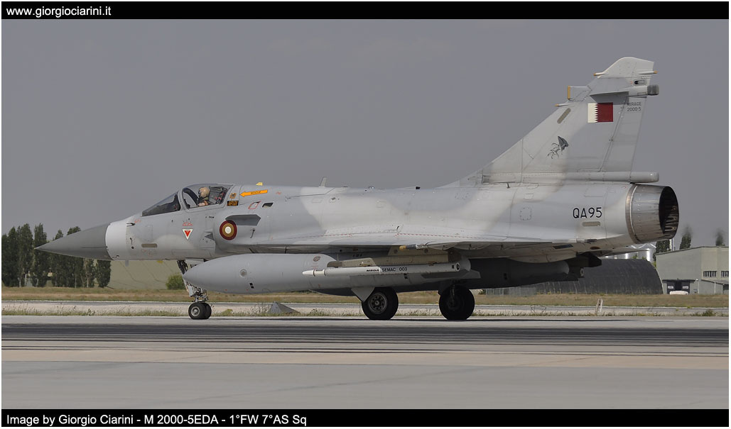 anatolian eagle 2014 image 124
