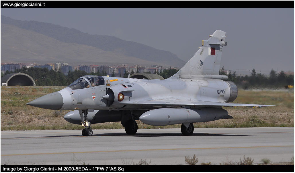 anatolian eagle 2014 image 126