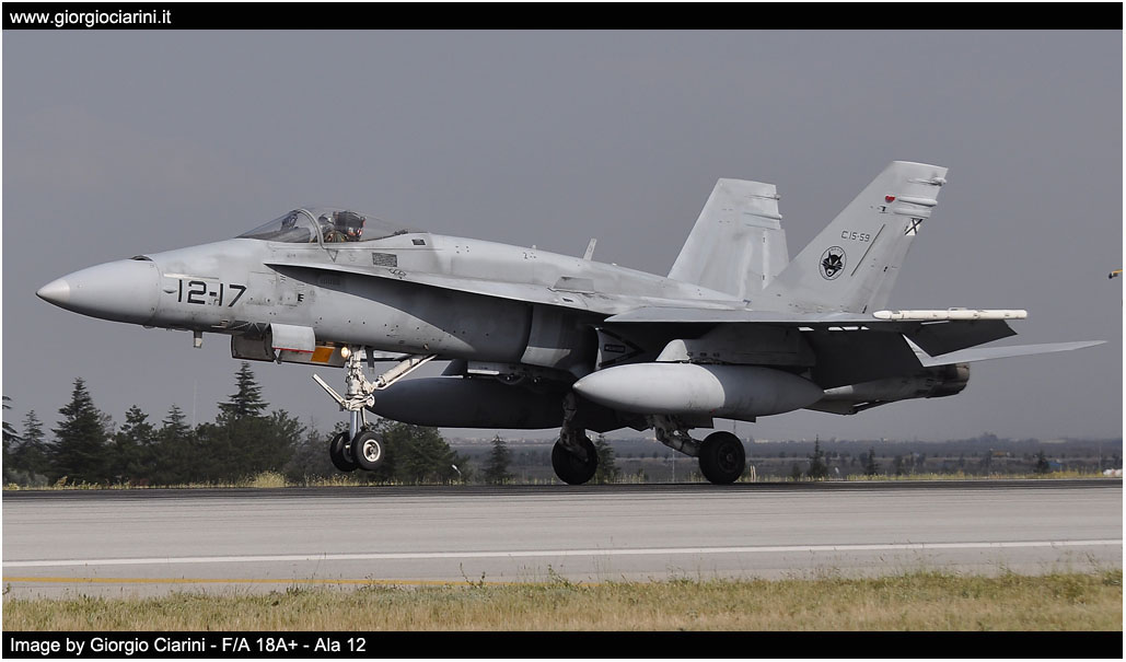 anatolian eagle 2014 image 132