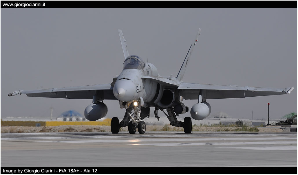 anatolian eagle 2014 image 133