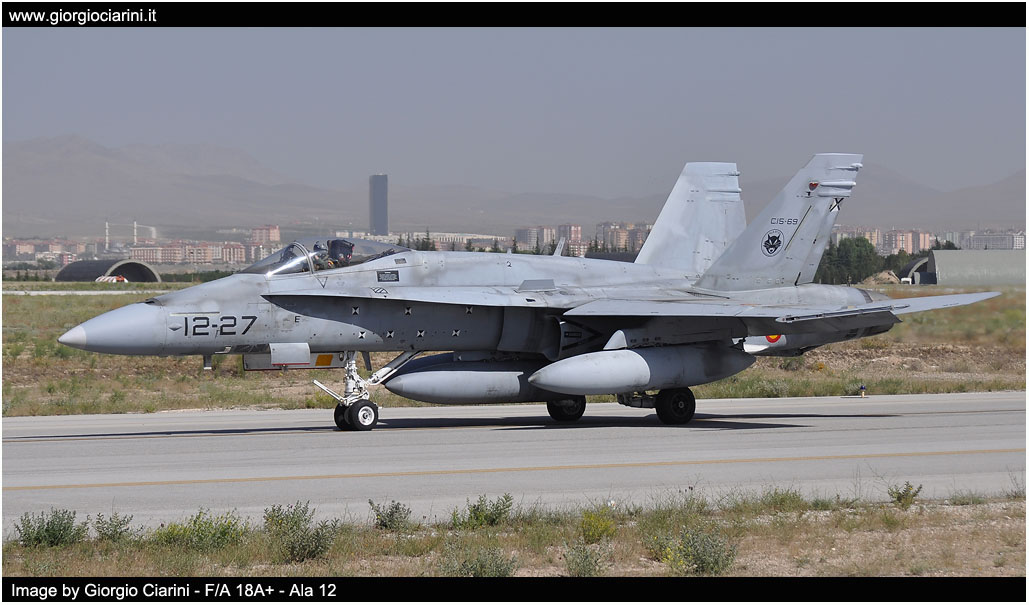 anatolian eagle 2014 image 140