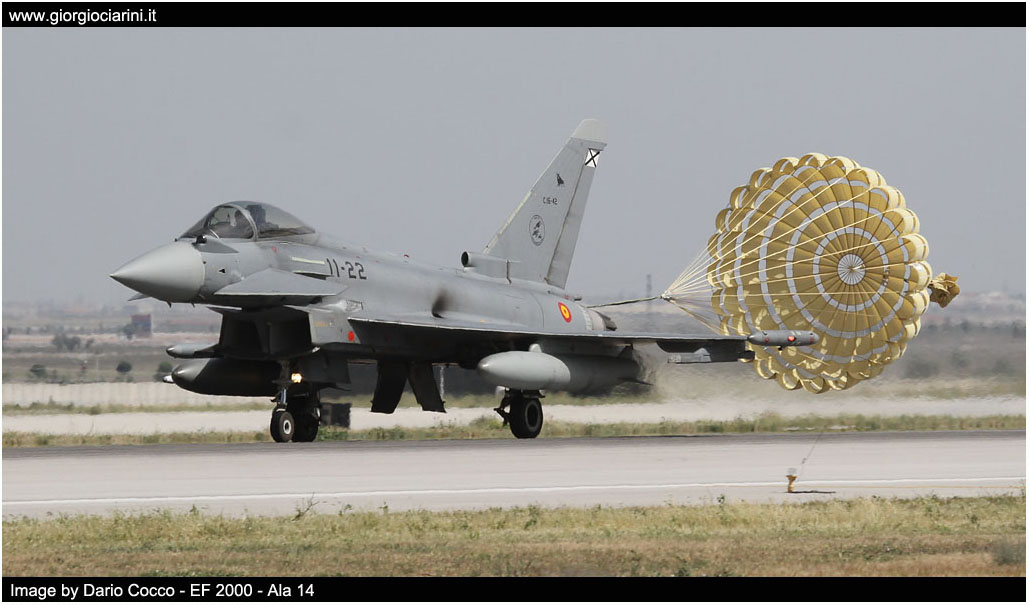 anatolian eagle 2014 image 160