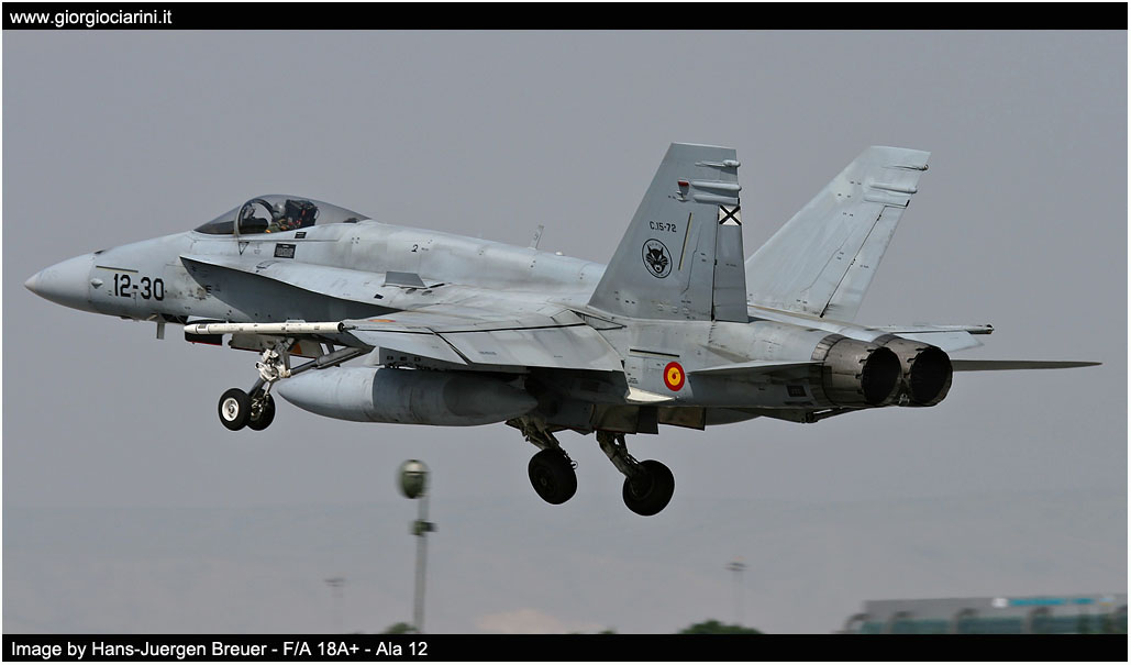 anatolian eagle 2014 image 168