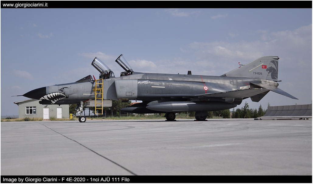 anatolian eagle 2014 image 18