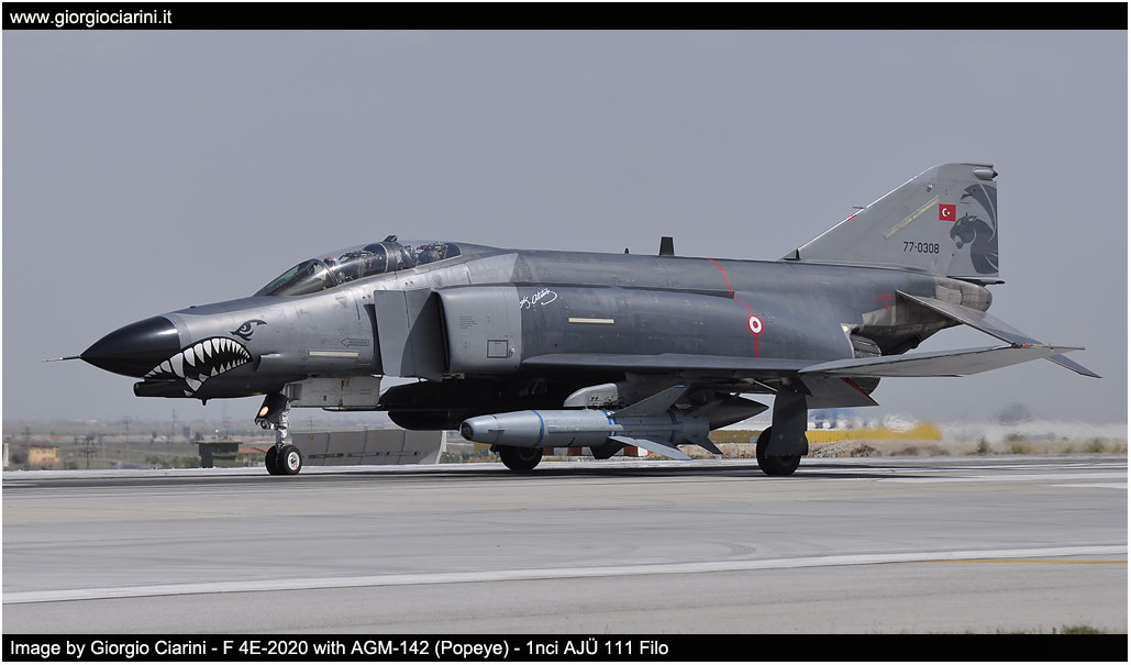anatolian eagle 2014 image 39
