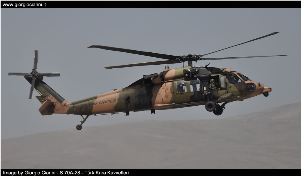 anatolian eagle 2014 image 46