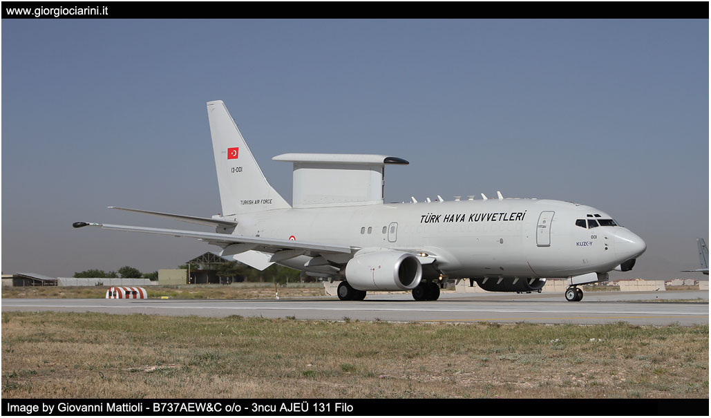 anatolian eagle 2014 image 47