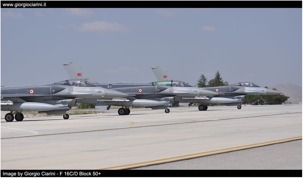 anatolian eagle 2014 image 51