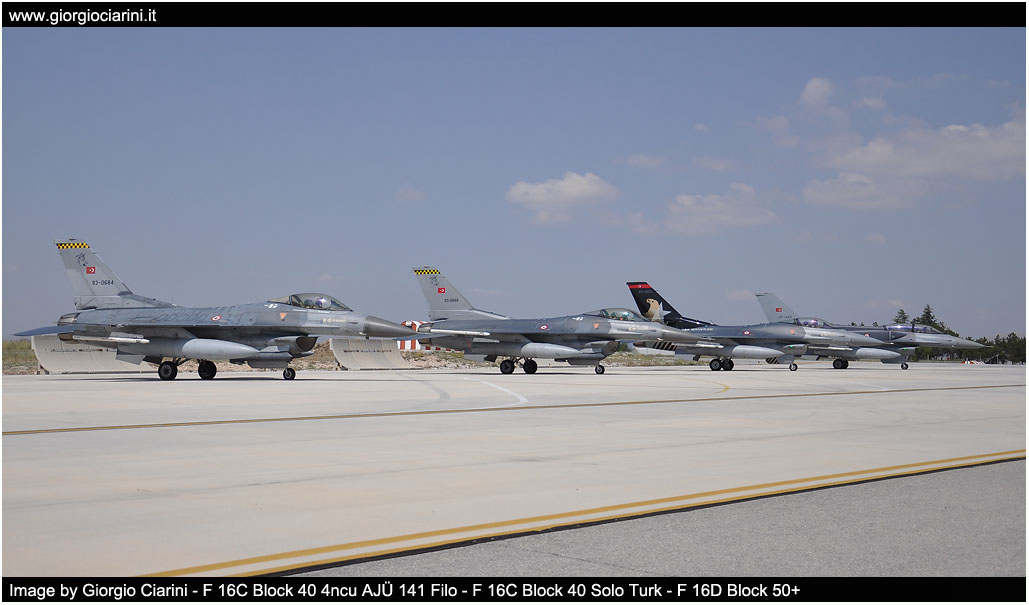 anatolian eagle 2014 image 52