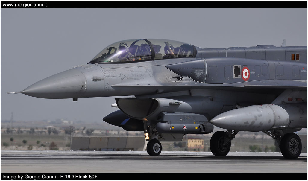 anatolian eagle 2014 image 60