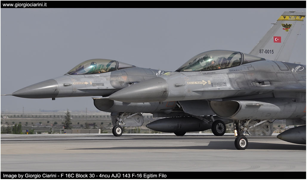 anatolian eagle 2014 image 61