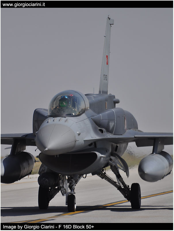 anatolian eagle 2014 image 62