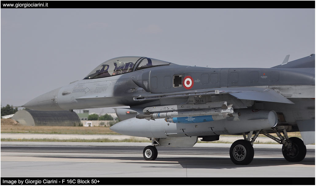 anatolian eagle 2014 image 63