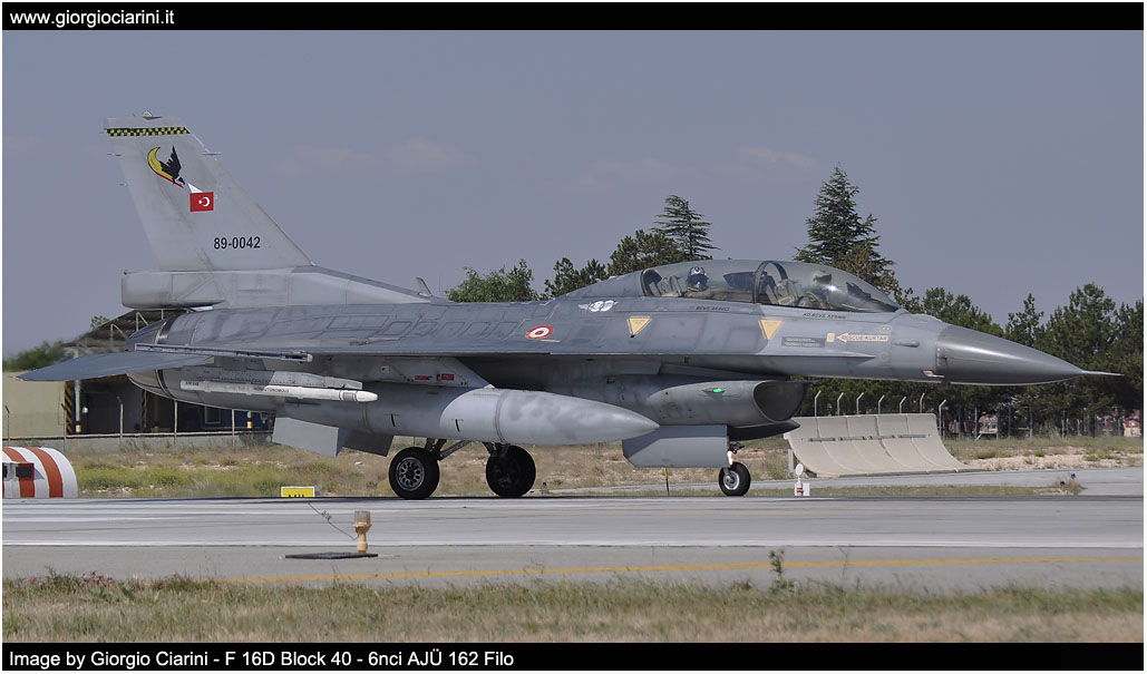 anatolian eagle 2014 image 101