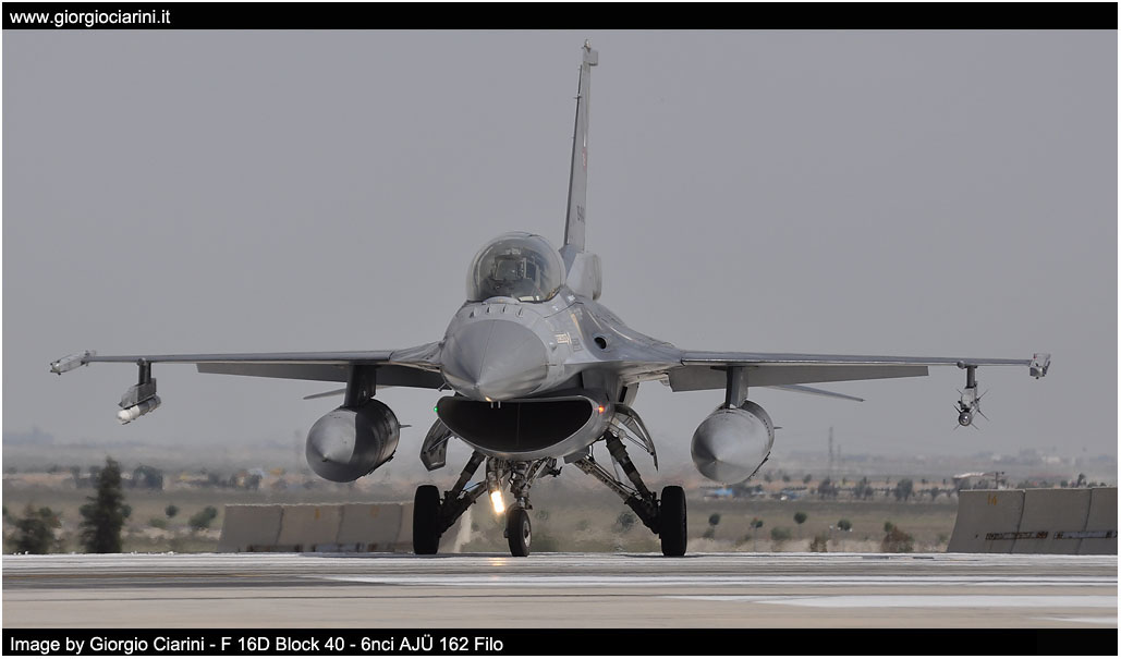 anatolian eagle 2014 image 103