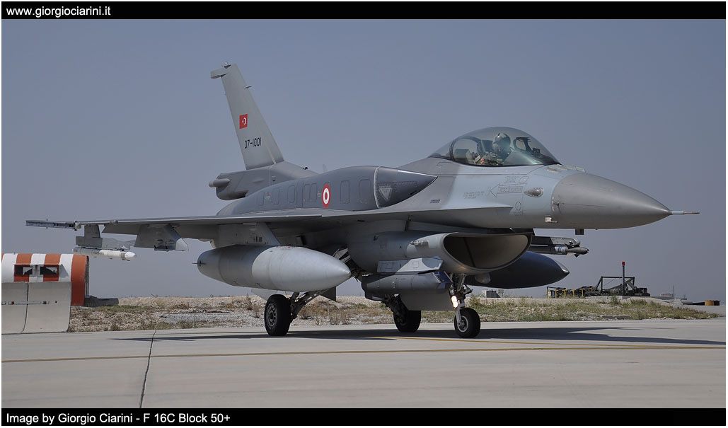 anatolian eagle 2014 image 83