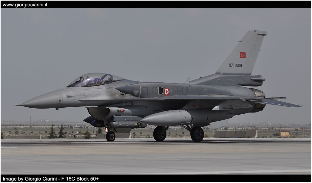 anatolian eagle 2014 image 84