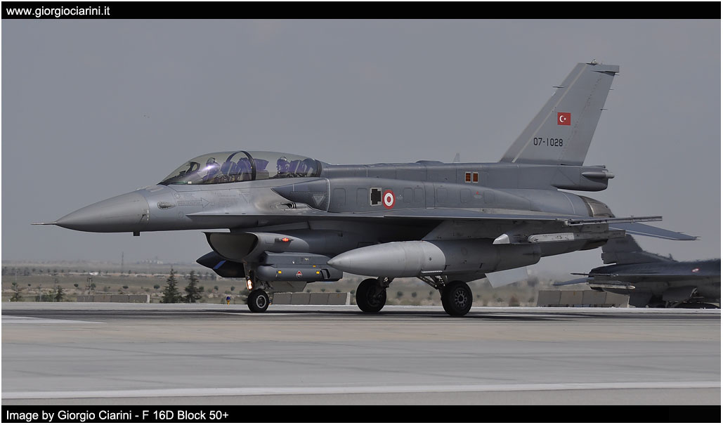 anatolian eagle 2014 image 85