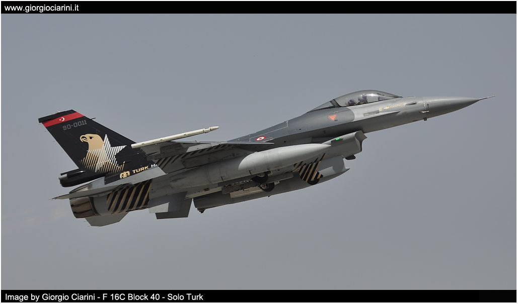 anatolian eagle 2014 image 87
