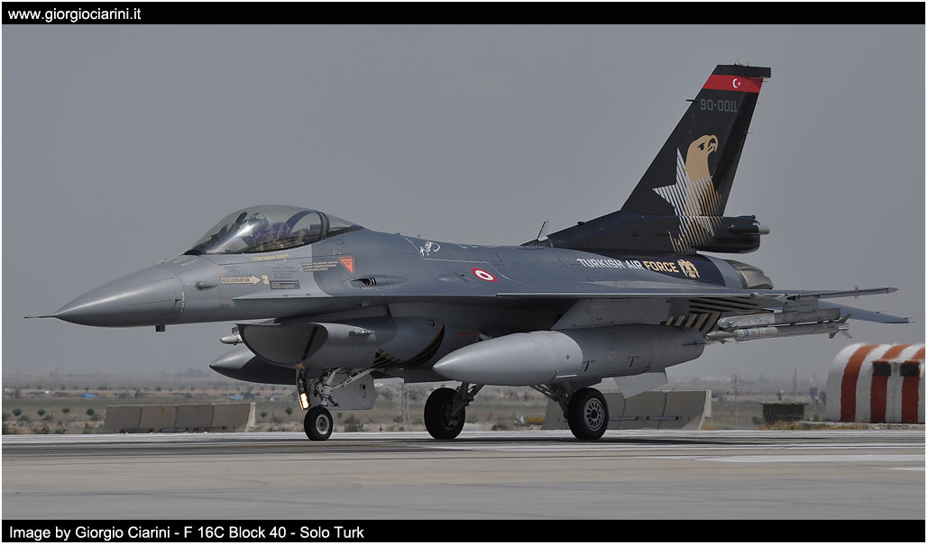 anatolian eagle 2014 image 88