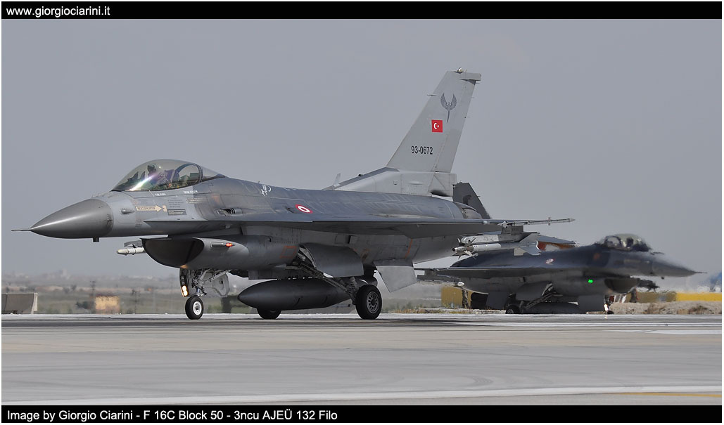 anatolian eagle 2014 image 90