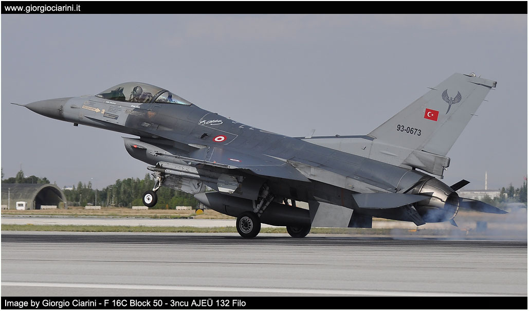 anatolian eagle 2014 image 91