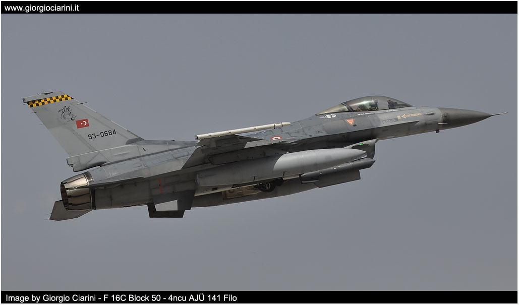 anatolian eagle 2014 image 93