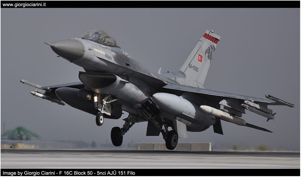 anatolian eagle 2014 image 94