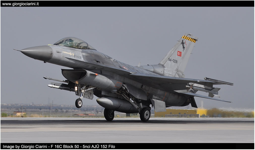 anatolian eagle 2014 image 95