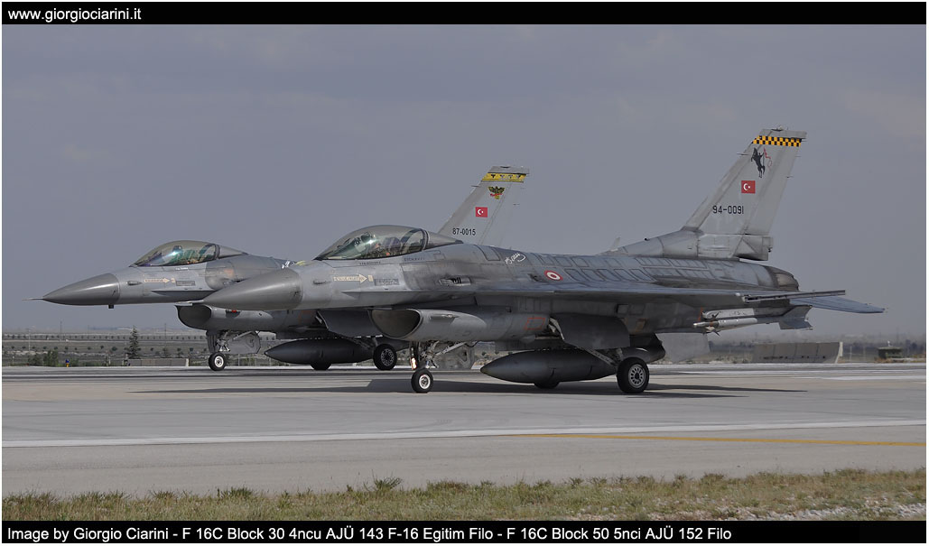 anatolian eagle 2014 image 98