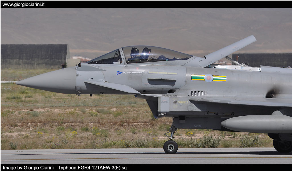 anatolian eagle 2014 image 175