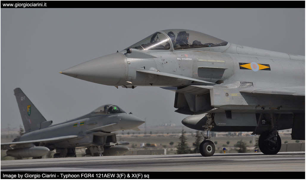 anatolian eagle 2014 image 176