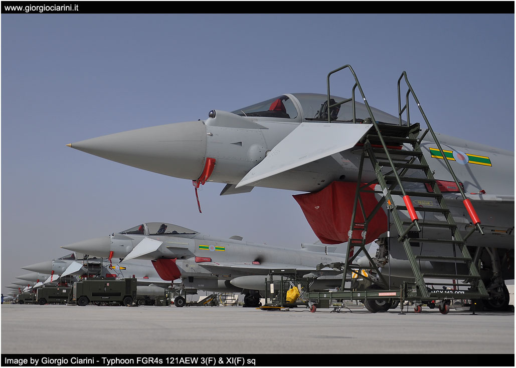 anatolian eagle 2014 image 177