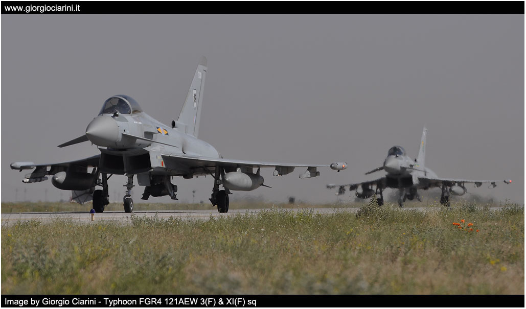 anatolian eagle 2014 image 178