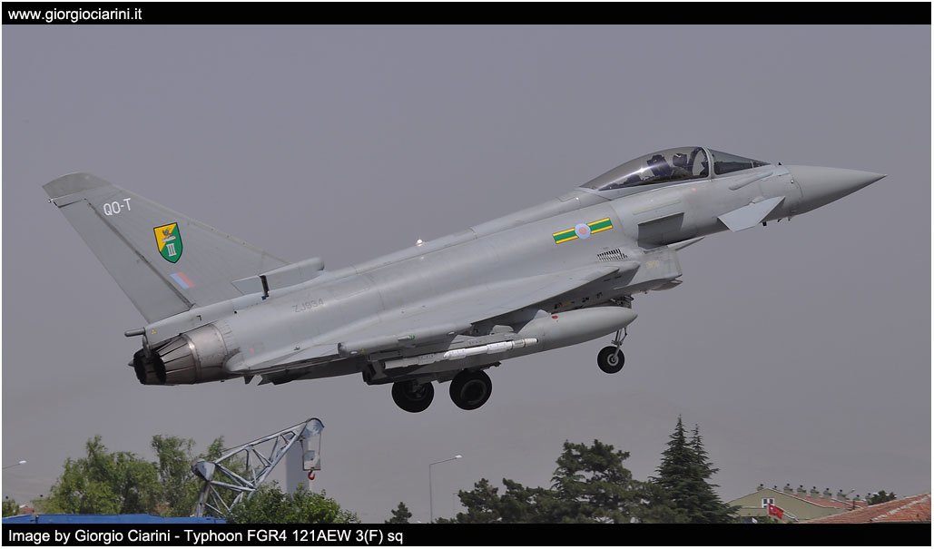 anatolian eagle 2014 image 179