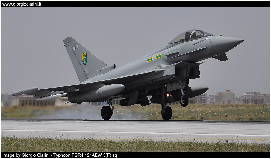 anatolian eagle 2014 image 180