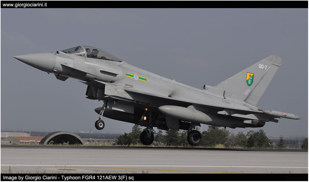 anatolian eagle 2014 image 183