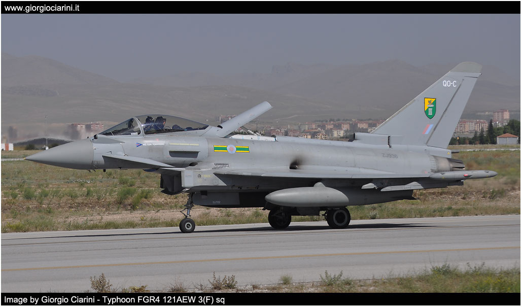 anatolian eagle 2014 image 187