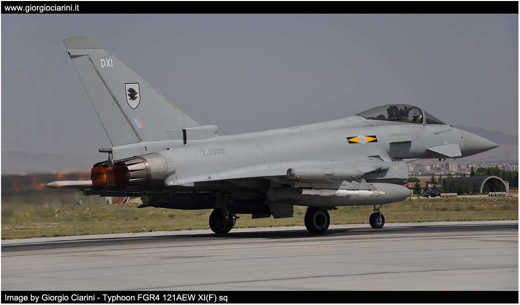 anatolian eagle 2014 image 189