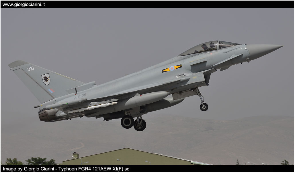 anatolian eagle 2014 image 191