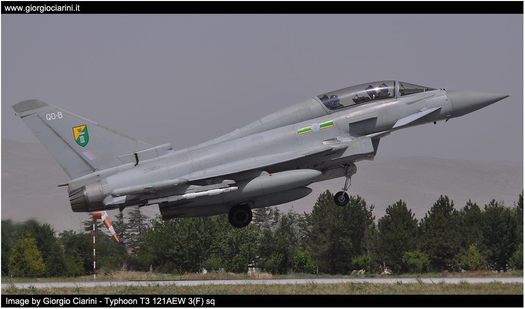 anatolian eagle 2014 image 192