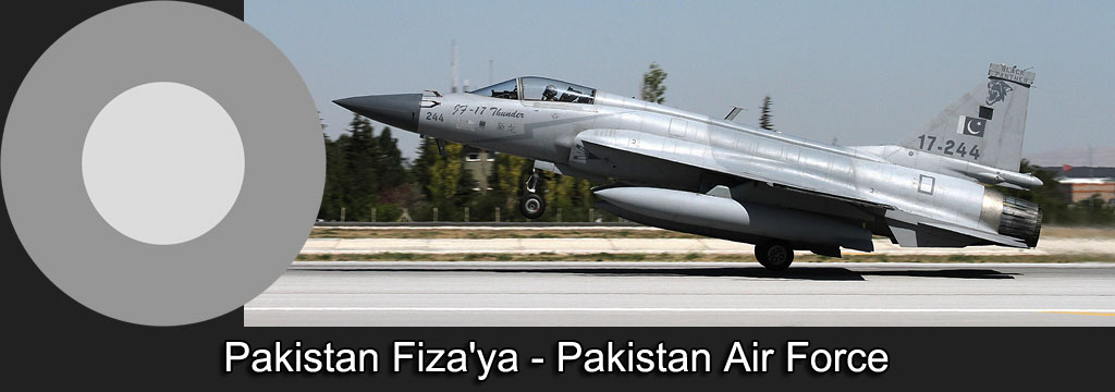 anatolian eagle 2021 image 17