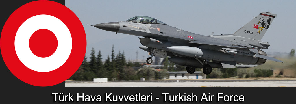 anatolian eagle 2021 image 21