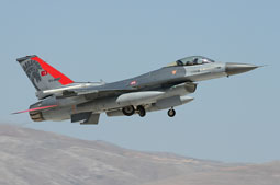 anatolian eagle 2021 image 25