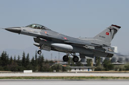 anatolian eagle 2021 image 32