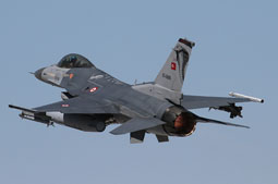 anatolian eagle 2021 image 33