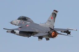 anatolian eagle 2021 image 35