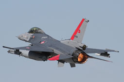 anatolian eagle 2021 image 43
