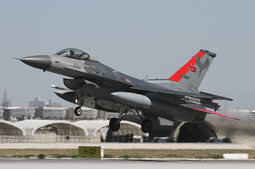 anatolian eagle 2021 image 45